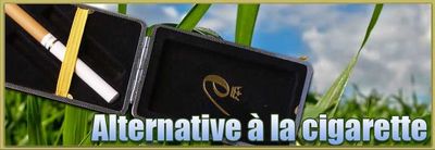 Alternative a la cigarette