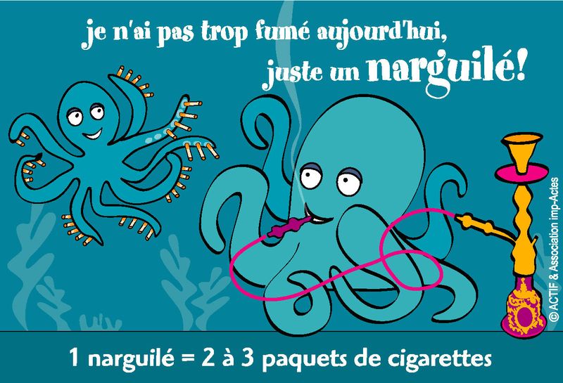 Narguile chicha hookah cigarettes Dautzenberg OFT