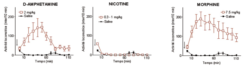 nicotine n’entraîne pas addiction (Tassin)