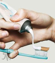 Dentifrice tabac