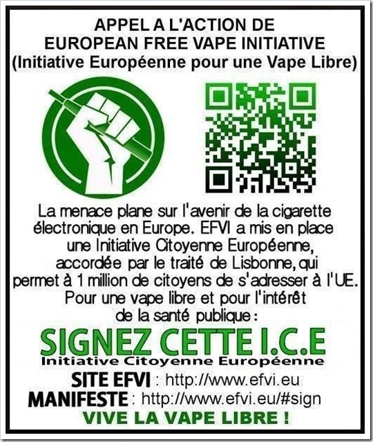 Affiche EFVI